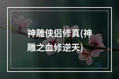 神雕侠侣修真(神雕之血修逆天)