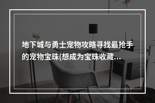 地下城与勇士宠物攻略寻找最抢手的宠物宝珠(想成为宝珠收藏家？必看！)