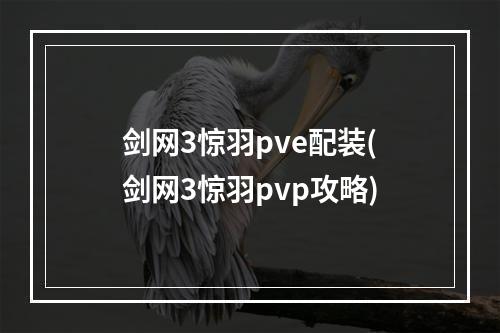 剑网3惊羽pve配装(剑网3惊羽pvp攻略)