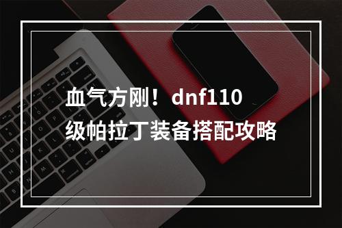 血气方刚！dnf110级帕拉丁装备搭配攻略