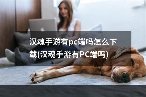 汉魂手游有pc端吗怎么下载(汉魂手游有PC端吗)