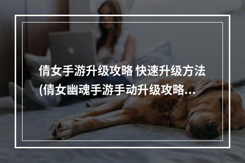 倩女手游升级攻略 快速升级方法(倩女幽魂手游手动升级攻略)