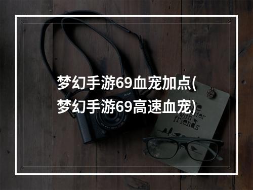 梦幻手游69血宠加点(梦幻手游69高速血宠)