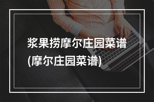 浆果捞摩尔庄园菜谱(摩尔庄园菜谱)