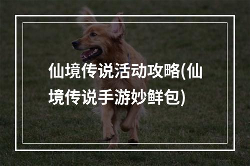 仙境传说活动攻略(仙境传说手游妙鲜包)