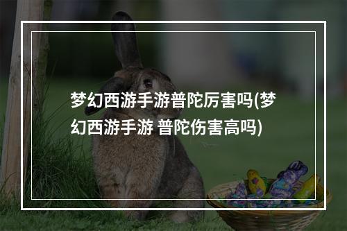 梦幻西游手游普陀厉害吗(梦幻西游手游 普陀伤害高吗)