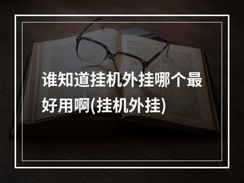 谁知道挂机外挂哪个最好用啊(挂机外挂)