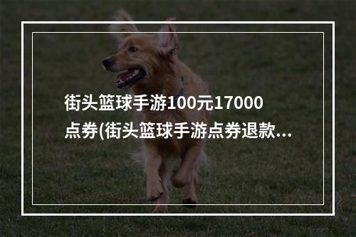 街头篮球手游100元17000点券(街头篮球手游点券退款)