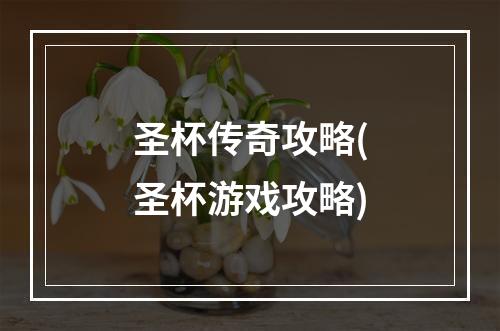 圣杯传奇攻略(圣杯游戏攻略)