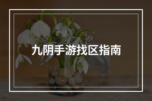 九阴手游找区指南