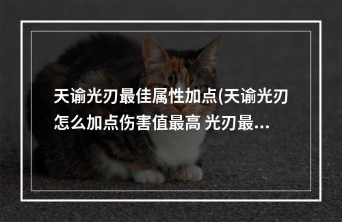 天谕光刃最佳属性加点(天谕光刃怎么加点伤害值最高 光刃最强加点及连招攻略  )