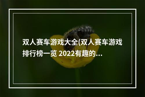 双人赛车游戏大全(双人赛车游戏排行榜一览 2022有趣的双人赛车碰头游戏)