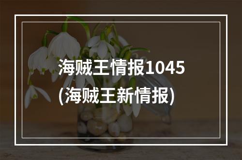 海贼王情报1045(海贼王新情报)