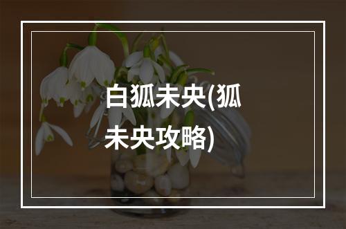 白狐未央(狐未央攻略)