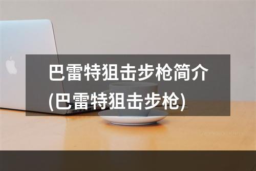 巴雷特狙击步枪简介(巴雷特狙击步枪)