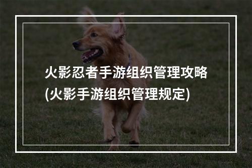 火影忍者手游组织管理攻略(火影手游组织管理规定)