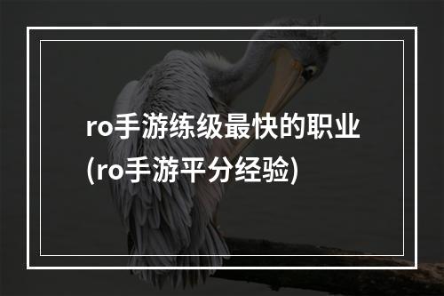 ro手游练级最快的职业(ro手游平分经验)