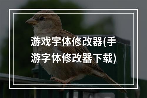 游戏字体修改器(手游字体修改器下载)