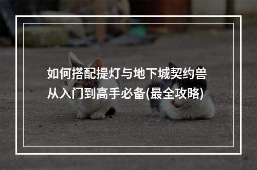 如何搭配提灯与地下城契约兽 从入门到高手必备(最全攻略)