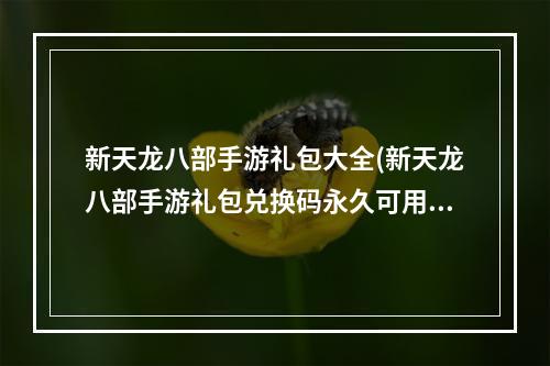 新天龙八部手游礼包大全(新天龙八部手游礼包兑换码永久可用兑换码汇总)