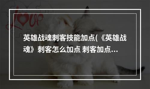 英雄战魂刺客技能加点(《英雄战魂》刺客怎么加点 刺客加点攻略 )