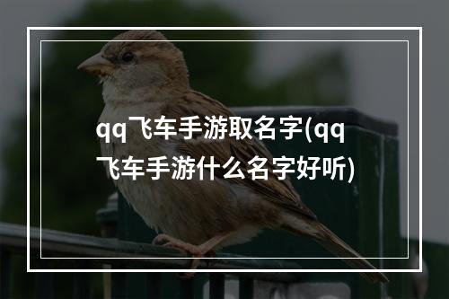 qq飞车手游取名字(qq飞车手游什么名字好听)