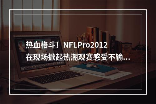 热血格斗！NFLPro2012在现场掀起热潮观赛感受不输球员