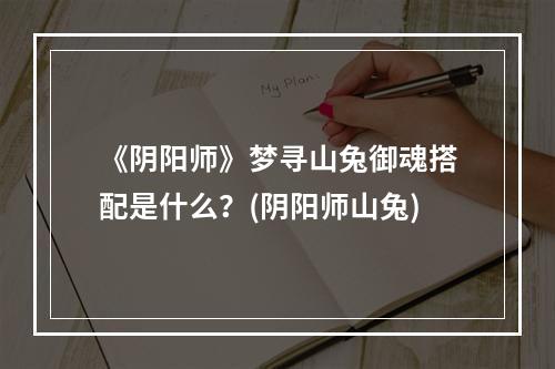 《阴阳师》梦寻山兔御魂搭配是什么？(阴阳师山兔)