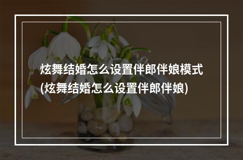 炫舞结婚怎么设置伴郎伴娘模式(炫舞结婚怎么设置伴郎伴娘)