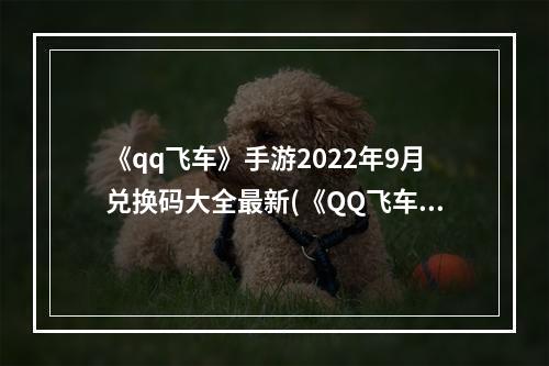 《qq飞车》手游2022年9月兑换码大全最新(《QQ飞车》手游2022年9月兑换码大全 )