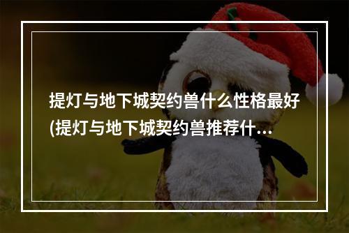 提灯与地下城契约兽什么性格最好(提灯与地下城契约兽推荐什么契约兽强力)