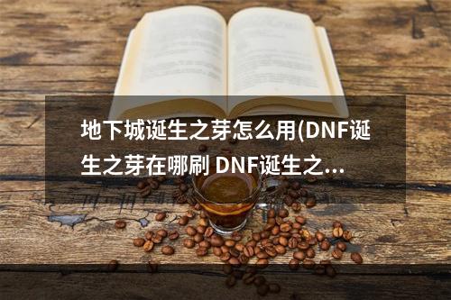 地下城诞生之芽怎么用(DNF诞生之芽在哪刷 DNF诞生之芽有什么用)