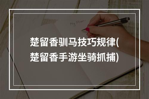 楚留香驯马技巧规律(楚留香手游坐骑抓捕)