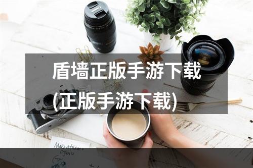 盾墙正版手游下载(正版手游下载)