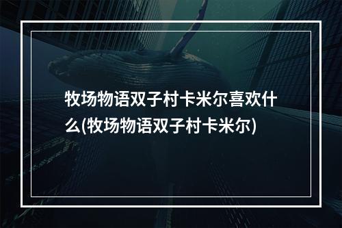 牧场物语双子村卡米尔喜欢什么(牧场物语双子村卡米尔)