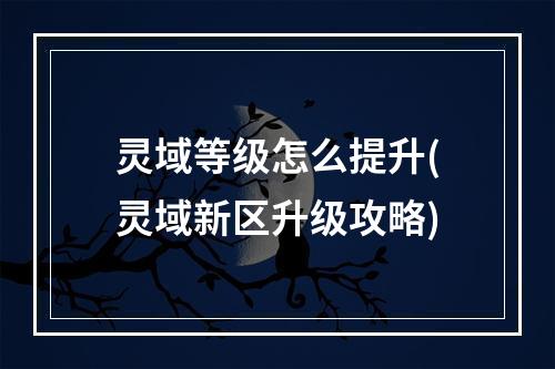 灵域等级怎么提升(灵域新区升级攻略)