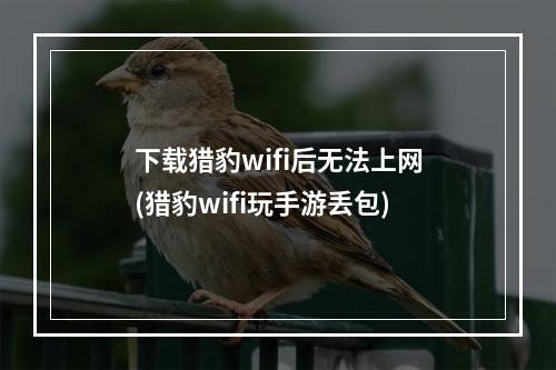 下载猎豹wifi后无法上网(猎豹wifi玩手游丢包)