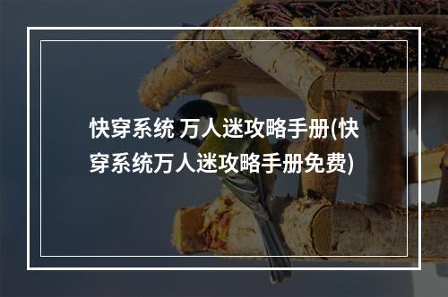 快穿系统 万人迷攻略手册(快穿系统万人迷攻略手册免费)