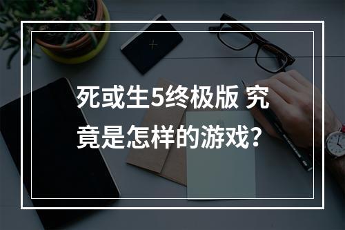 死或生5终极版 究竟是怎样的游戏？