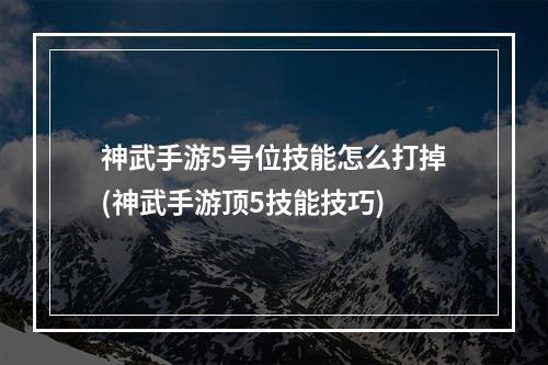 神武手游5号位技能怎么打掉(神武手游顶5技能技巧)