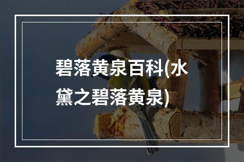 碧落黄泉百科(水黛之碧落黄泉)