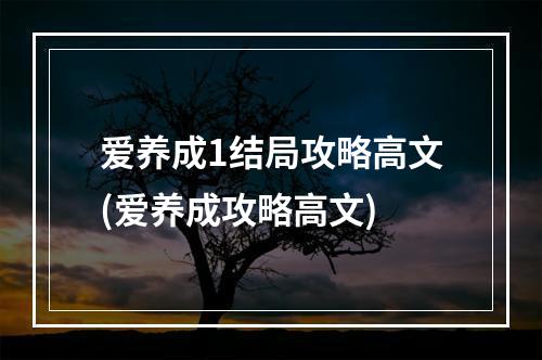 爱养成1结局攻略高文(爱养成攻略高文)