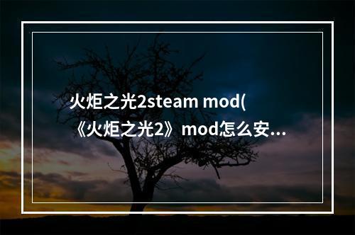 火炬之光2steam mod(《火炬之光2》mod怎么安装)