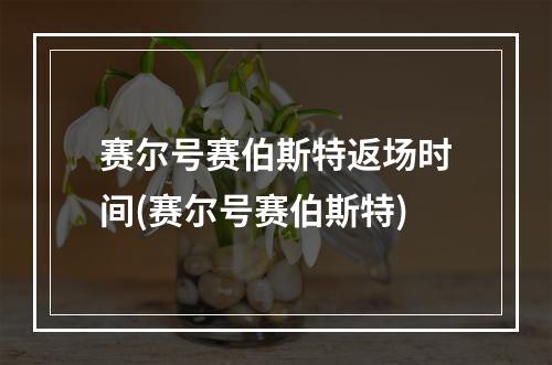 赛尔号赛伯斯特返场时间(赛尔号赛伯斯特)