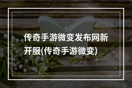 传奇手游微变发布网新开服(传奇手游微变)