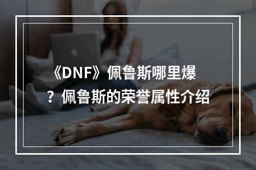 《DNF》佩鲁斯哪里爆？佩鲁斯的荣誉属性介绍