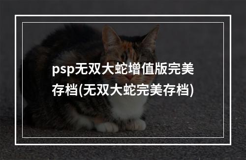 psp无双大蛇增值版完美存档(无双大蛇完美存档)