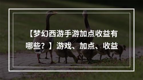 【梦幻西游手游加点收益有哪些？】游戏、加点、收益