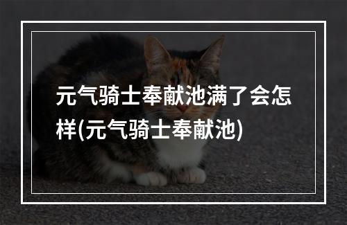 元气骑士奉献池满了会怎样(元气骑士奉献池)