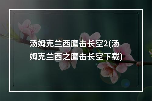 汤姆克兰西鹰击长空2(汤姆克兰西之鹰击长空下载)